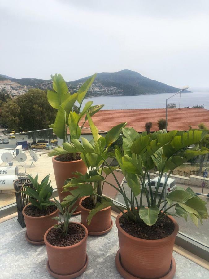 Samira Exclusive Hotel & Apartments Kalkan Extérieur photo
